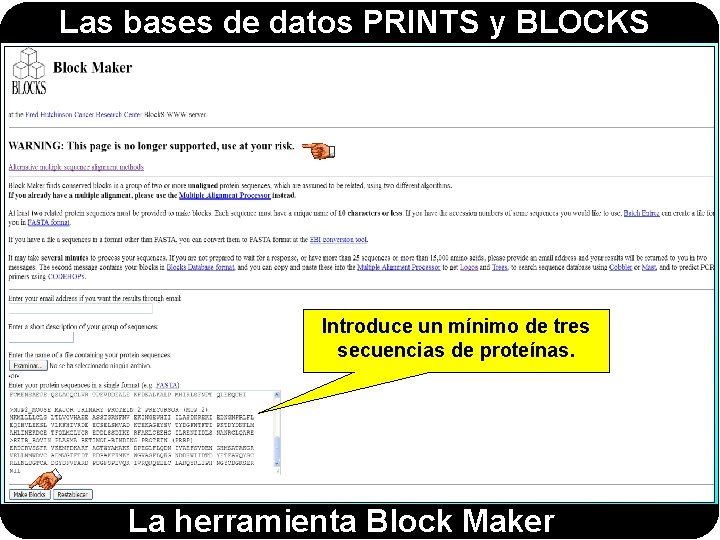 Las bases de datos PRINTS y BLOCKS Introduce un mínimo de tres secuencias de Las bases de datos PRINTS y BLOCKS Introduce un mínimo de tres secuencias de