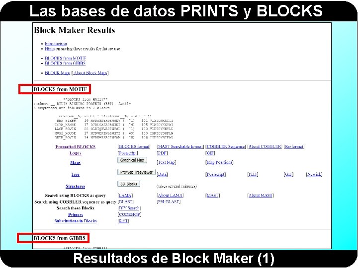 Las bases de datos PRINTS y BLOCKS Resultados de Block Maker (1) Las bases de datos PRINTS y BLOCKS Resultados de Block Maker (1)