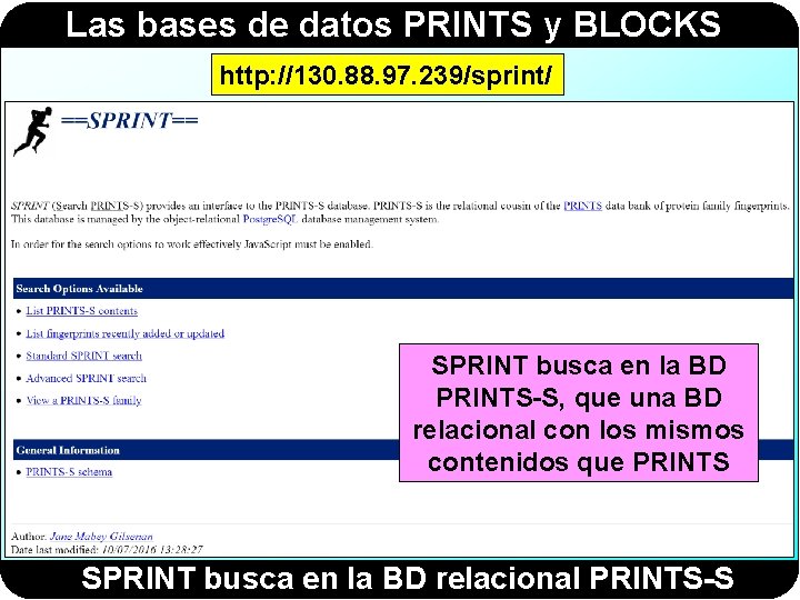 Las bases de datos PRINTS y BLOCKS http: //130. 88. 97. 239/sprint/ SPRINT busca Las bases de datos PRINTS y BLOCKS http: //130. 88. 97. 239/sprint/ SPRINT busca