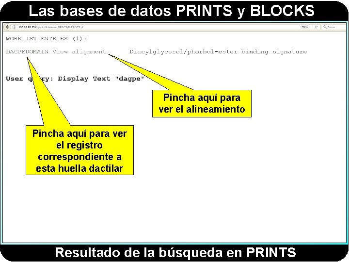 Las bases de datos PRINTS y BLOCKS Pincha aquí para ver el alineamiento Pincha Las bases de datos PRINTS y BLOCKS Pincha aquí para ver el alineamiento Pincha