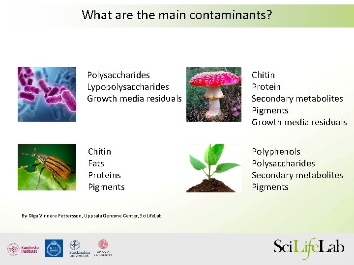 What are the main contaminants? Polysaccharides Lypopolysaccharides Growth media residuals Chitin Protein Secondary metabolites