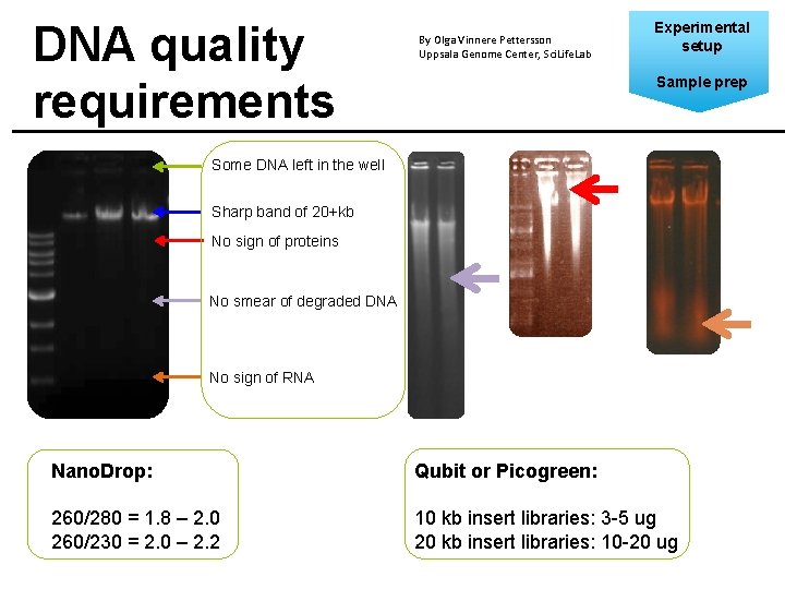 DNA quality requirements By Olga Vinnere Pettersson Uppsala Genome Center, Sci. Life. Lab Experimental