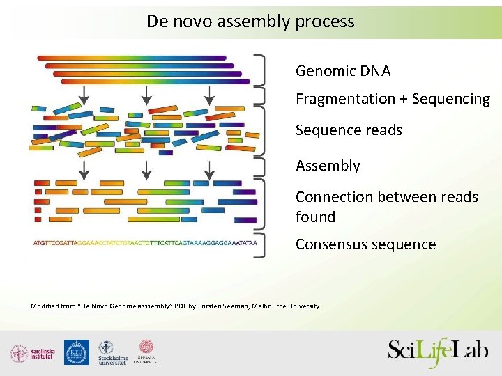 De novo assembly process Genomic DNA Fragmentation + Sequencing Sequence reads Assembly Connection between