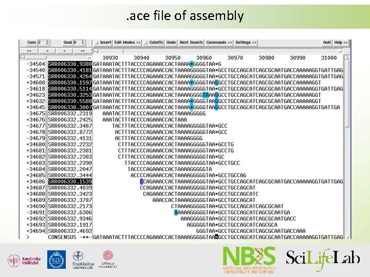 . ace file of assembly 