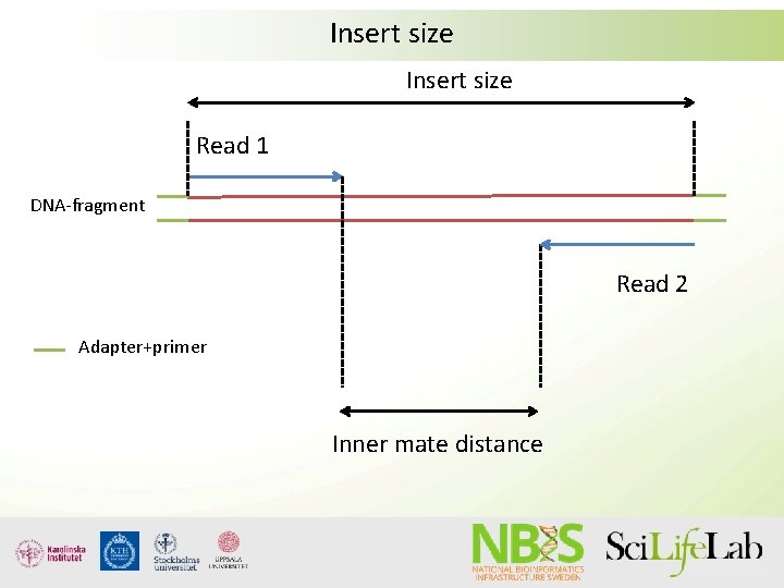 Insert size Read 1 DNA-fragment Read 2 Adapter+primer Inner mate distance 