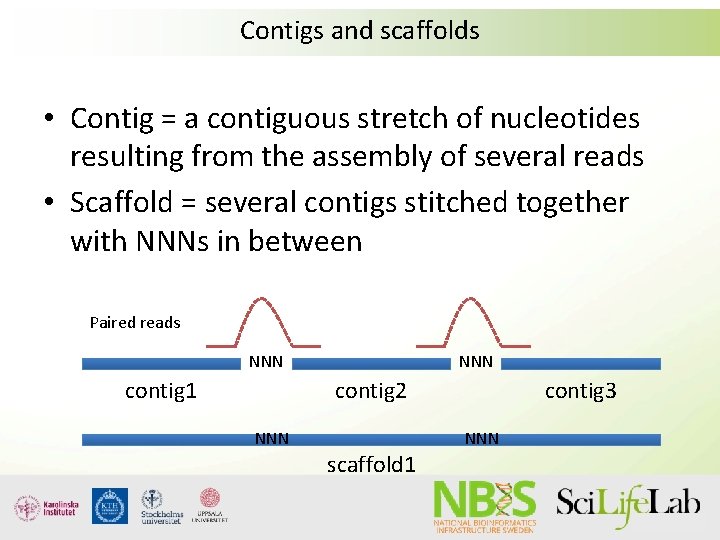 Contigs and scaffolds • Contig = a contiguous stretch of nucleotides resulting from the
