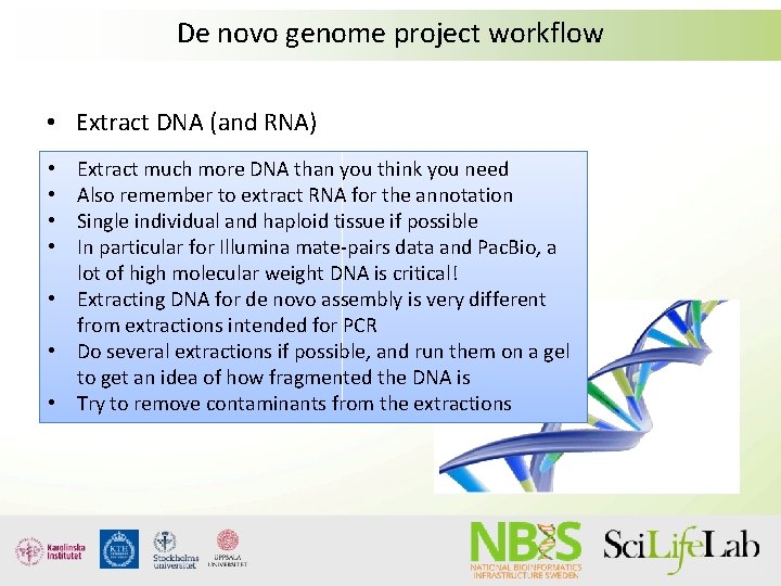 De novo genome project workflow • Extract DNA (and RNA) Extract much more DNA