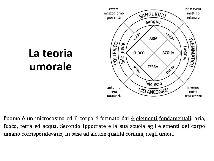 La teoria umorale l’uomo e un microcosmo ed il corpo e formato dai 4