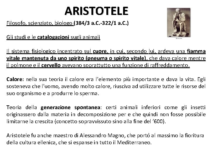 ARISTOTELE Filosofo, scienziato, biologo (384/3 a. C. -322/1 a. C. ) Gli studi e