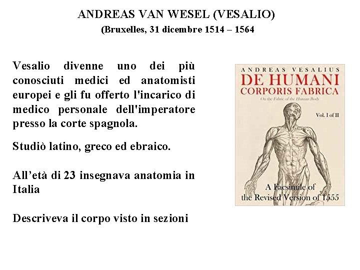 ANDREAS VAN WESEL (VESALIO) (Bruxelles, 31 dicembre 1514 – 1564 Vesalio divenne uno dei