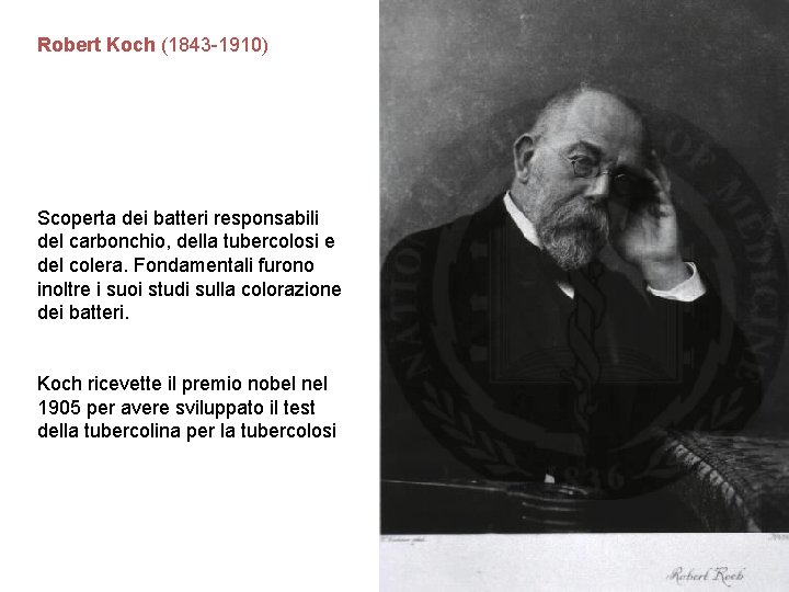 Robert Koch (1843 -1910) Scoperta dei batteri responsabili del carbonchio, della tubercolosi e del