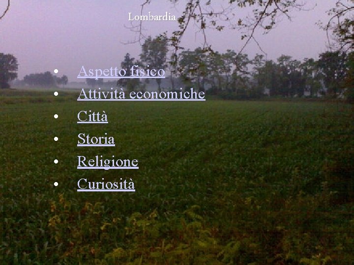 Lombardia • • • Aspetto fisico Attività economiche Città Storia Religione Curiosità 