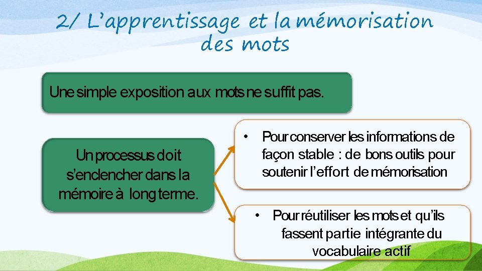 2/ L’apprentissage et la mémorisation des mots Une simple exposition aux mots ne suffit