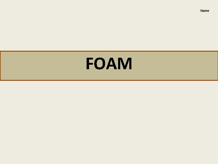 Home FOAM 
