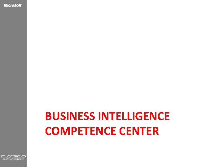 BUSINESS INTELLIGENCE COMPETENCE CENTER 