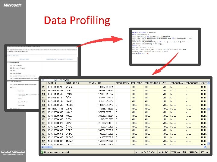 Data Profiling 
