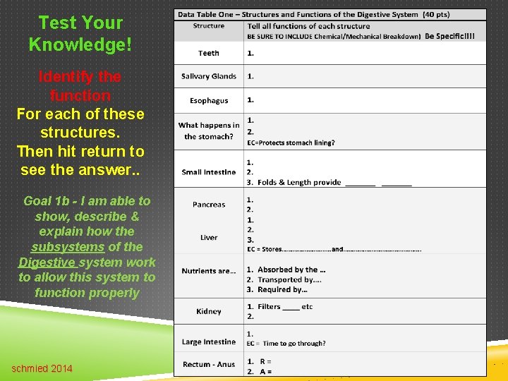 Test Your Knowledge! Identify the function For each of these structures. Then hit return