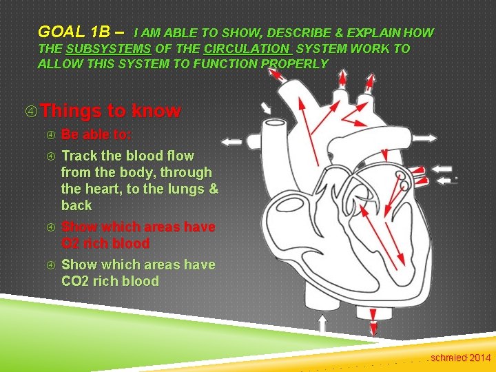 GOAL 1 B – I AM ABLE TO SHOW, DESCRIBE & EXPLAIN HOW THE