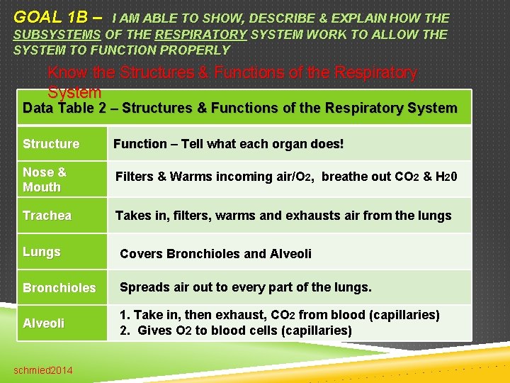 GOAL 1 B – I AM ABLE TO SHOW, DESCRIBE & EXPLAIN HOW THE