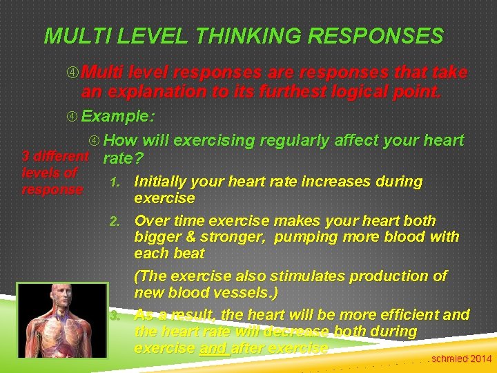 MULTI LEVEL THINKING RESPONSES Multi level responses are responses that take an explanation to