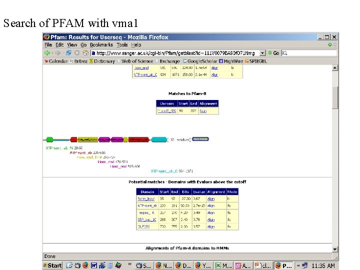 Search of PFAM with vma 1 