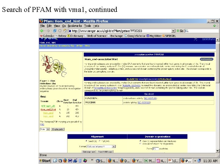 Search of PFAM with vma 1, continued 