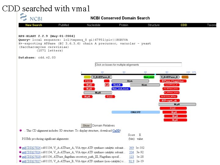 CDD searched with vma 1 
