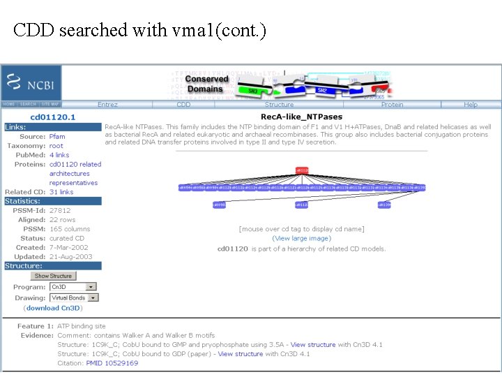 CDD searched with vma 1(cont. ) 