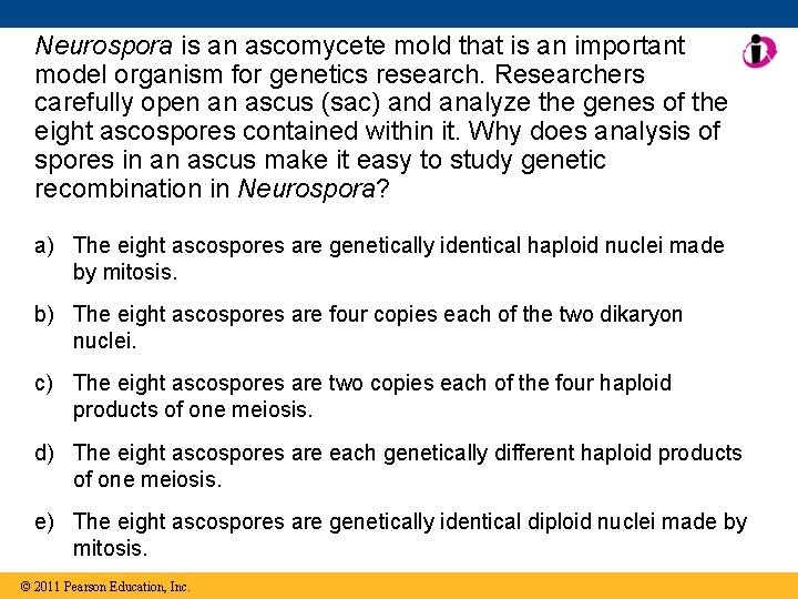 Neurospora is an ascomycete mold that is an important model organism for genetics research.