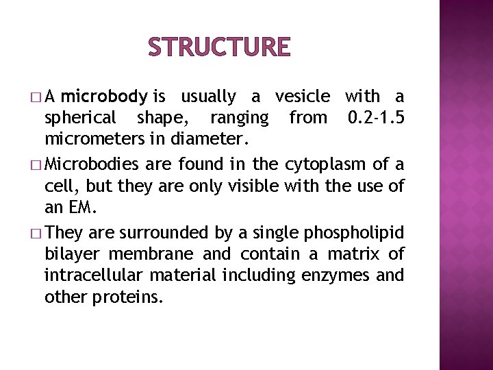 STRUCTURE � A microbody is usually a vesicle with a spherical shape, ranging from
