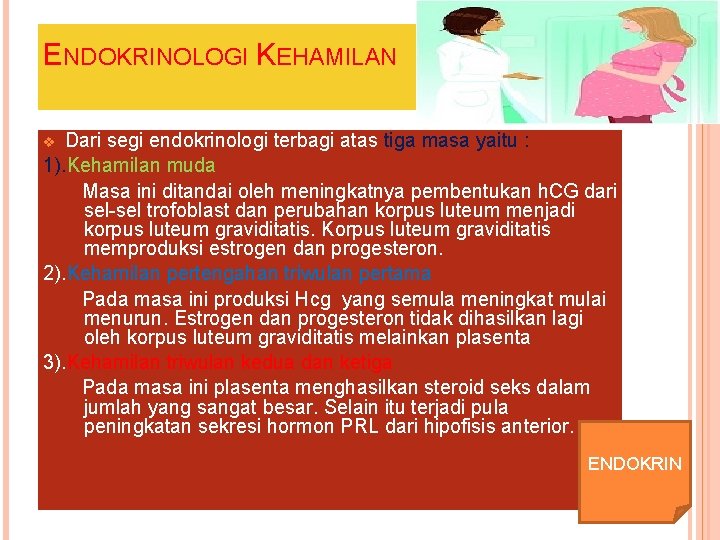 ENDOKRINOLOGI KEHAMILAN Dari segi endokrinologi terbagi atas tiga masa yaitu : 1). Kehamilan muda