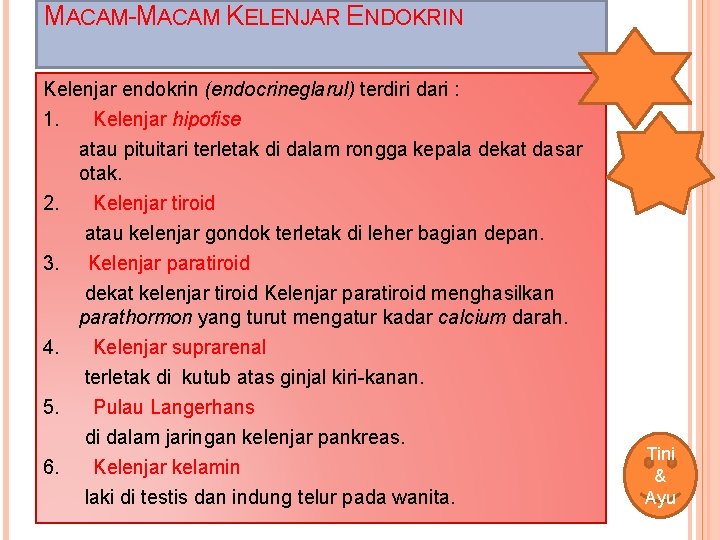 MACAM-MACAM KELENJAR ENDOKRIN Kelenjar endokrin (endocrineglarul) terdiri dari : 1. Kelenjar hipofise atau pituitari