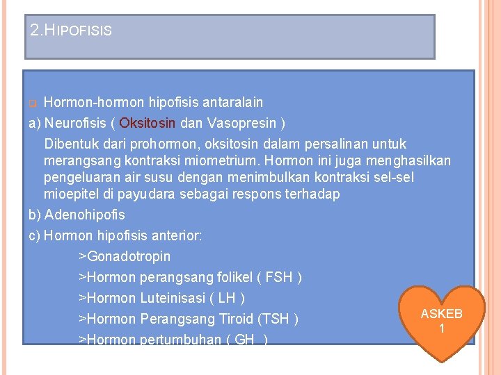 2. HIPOFISIS q Hormon-hormon hipofisis antaralain a) Neurofisis ( Oksitosin dan Vasopresin ) Dibentuk