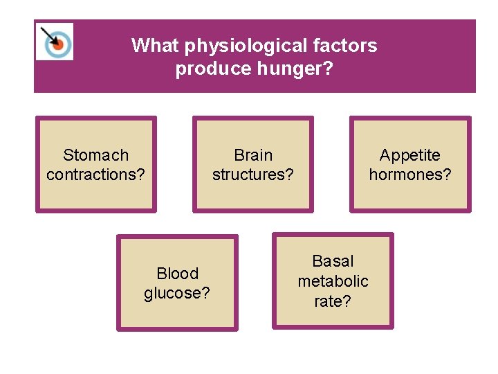 What physiological factors produce hunger? Stomach contractions? Blood glucose? Brain structures? Appetite hormones? Basal