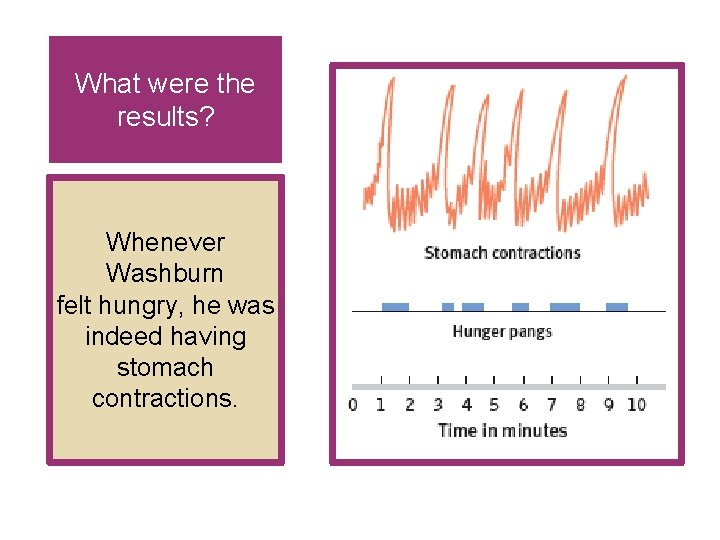 What were the results? Whenever Washburn felt hungry, he was indeed having stomach contractions. What were the results? Whenever Washburn felt hungry, he was indeed having stomach contractions.