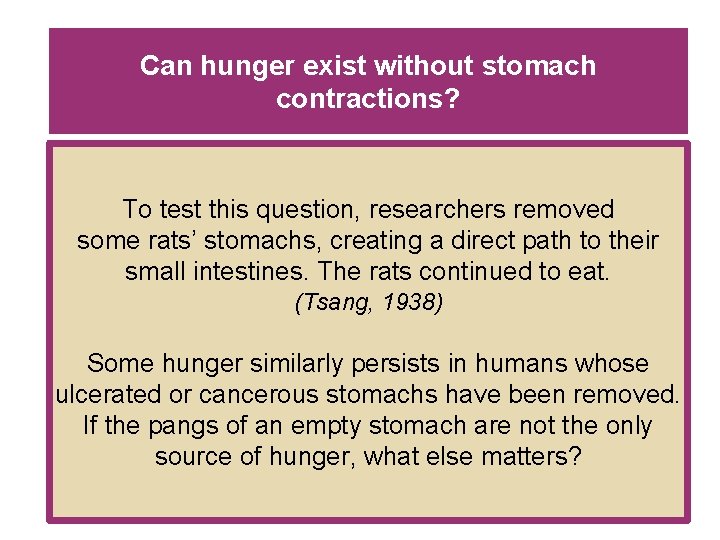 Can hunger exist without stomach contractions? To test this question, researchers removed some rats’ Can hunger exist without stomach contractions? To test this question, researchers removed some rats’