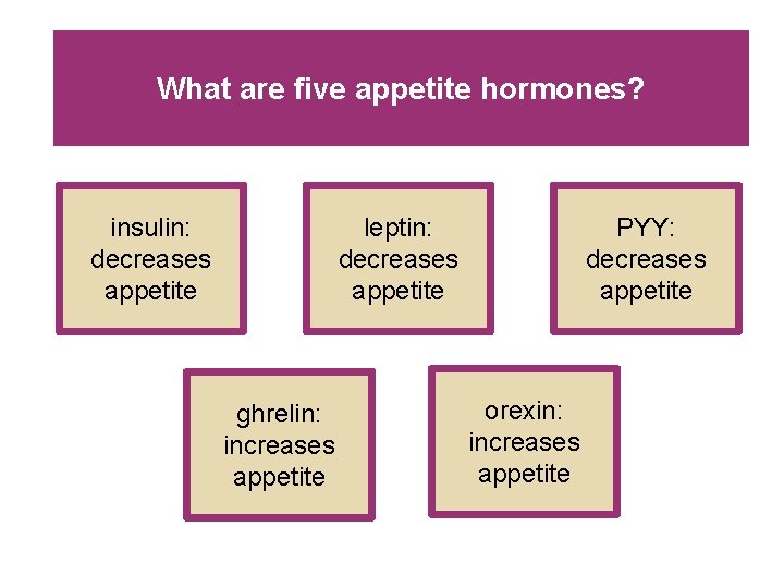 What are five appetite hormones? insulin: decreases appetite leptin: decreases appetite ghrelin: increases appetite