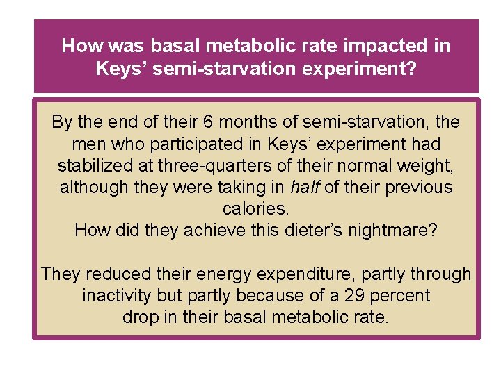 How was basal metabolic rate impacted in Keys’ semi-starvation experiment? By the end of