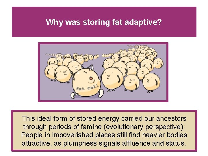Why was storing fat adaptive? This ideal form of stored energy carried our ancestors Why was storing fat adaptive? This ideal form of stored energy carried our ancestors