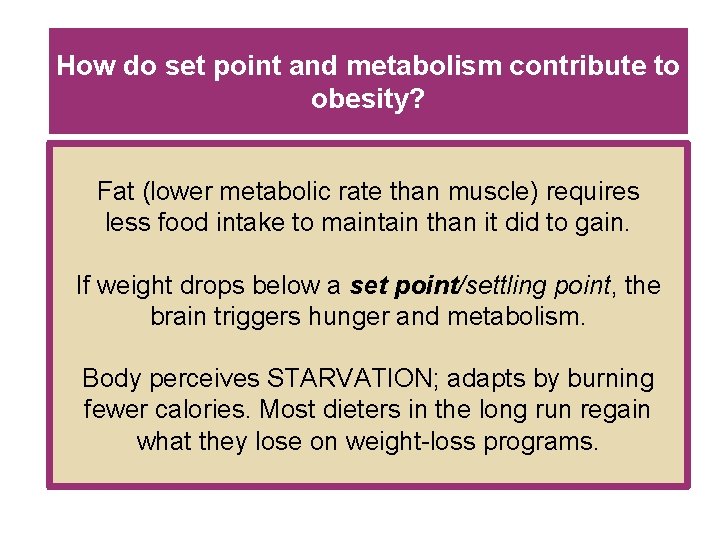 How do set point and metabolism contribute to obesity? Fat (lower metabolic rate than