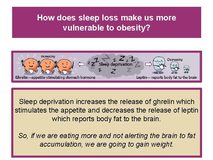 How does sleep loss make us more vulnerable to obesity? Sleep deprivation increases the