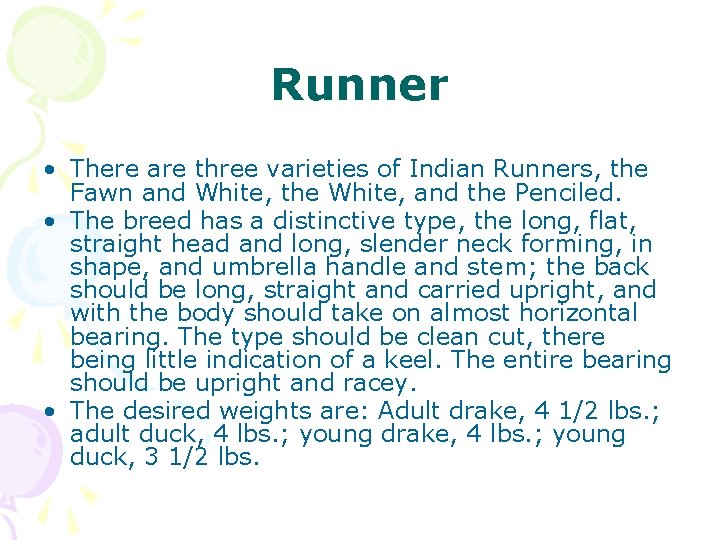 Runner • There are three varieties of Indian Runners, the Fawn and White, the