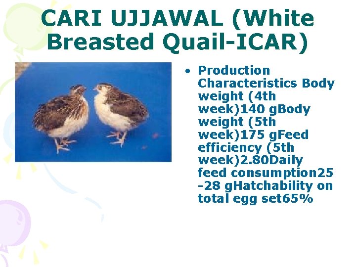 CARI UJJAWAL (White Breasted Quail-ICAR) • Production Characteristics Body weight (4 th week)140 g.