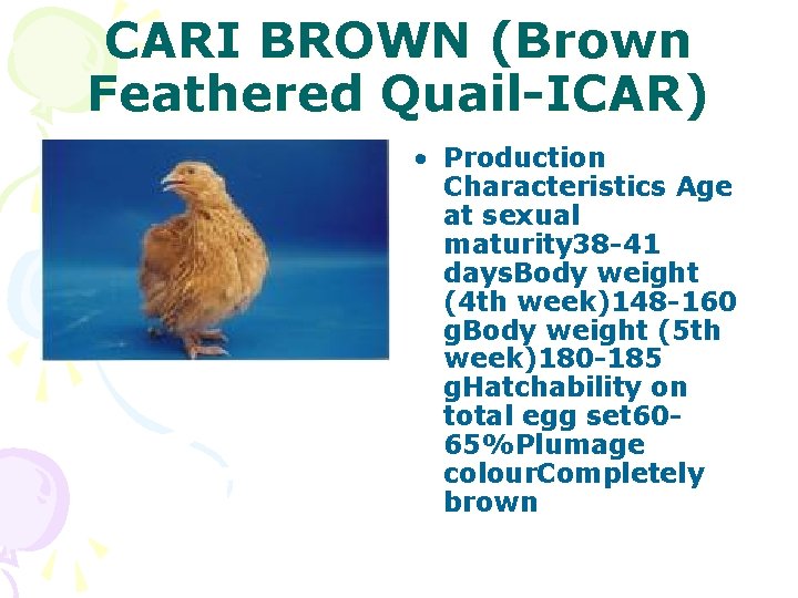 CARI BROWN (Brown Feathered Quail-ICAR) • Production Characteristics Age at sexual maturity 38 -41