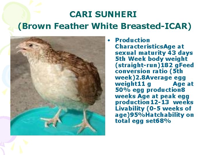 CARI SUNHERI (Brown Feather White Breasted-ICAR) • Production Characteristics. Age at sexual maturity 43