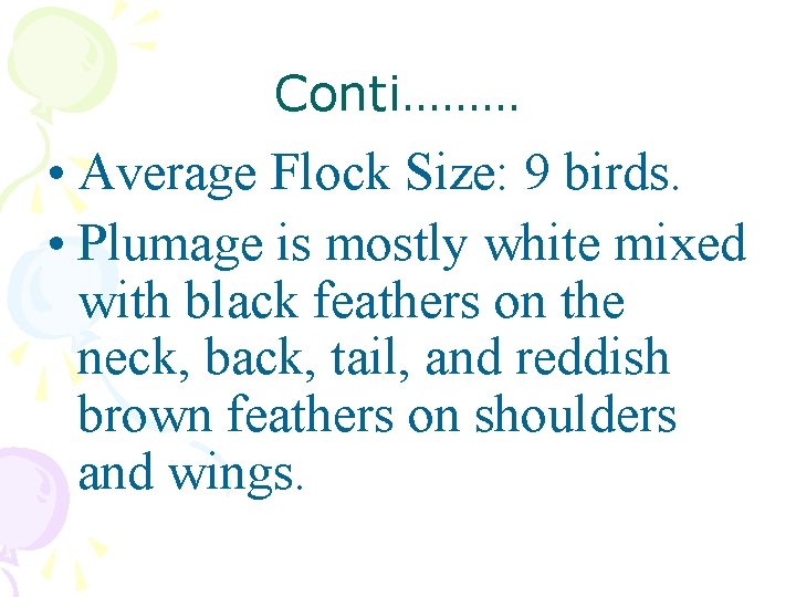 Conti……… • Average Flock Size: 9 birds. • Plumage is mostly white mixed with