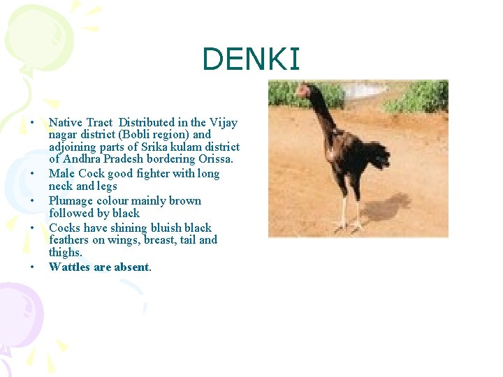 DENKI • • • Native Tract Distributed in the Vijay nagar district (Bobli region)
