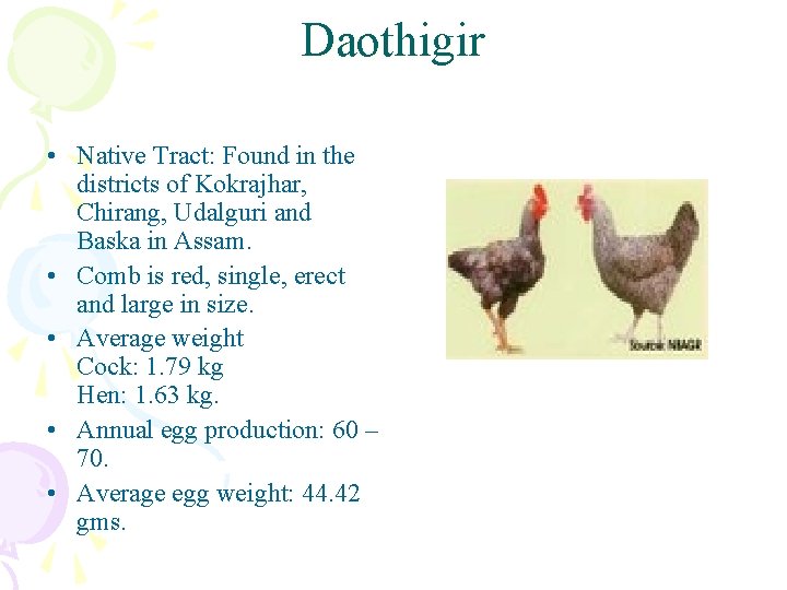Daothigir • Native Tract: Found in the districts of Kokrajhar, Chirang, Udalguri and Baska