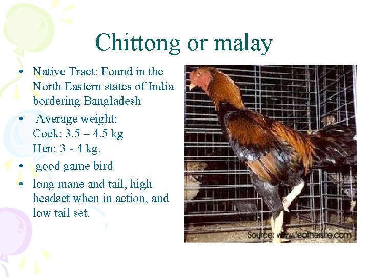 Chittong or malay • Native Tract: Found in the North Eastern states of India