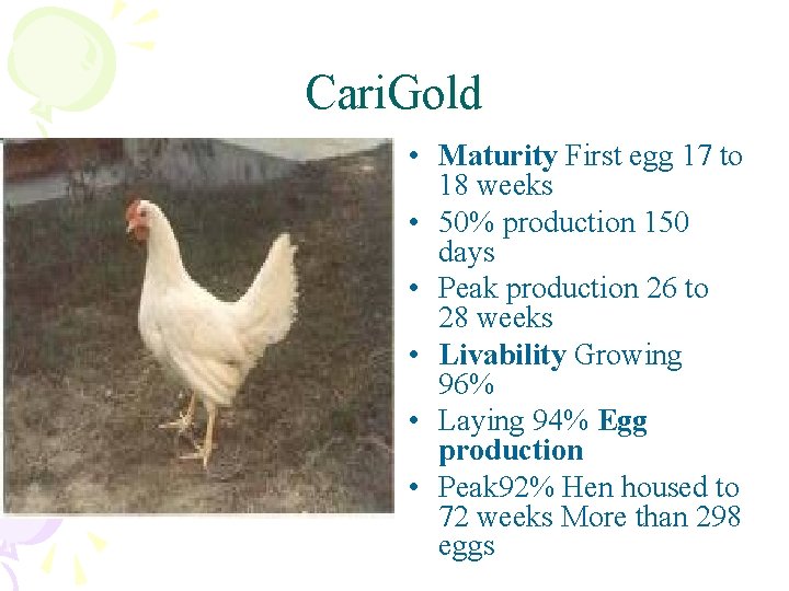 Cari. Gold • Maturity First egg 17 to 18 weeks • 50% production 150
